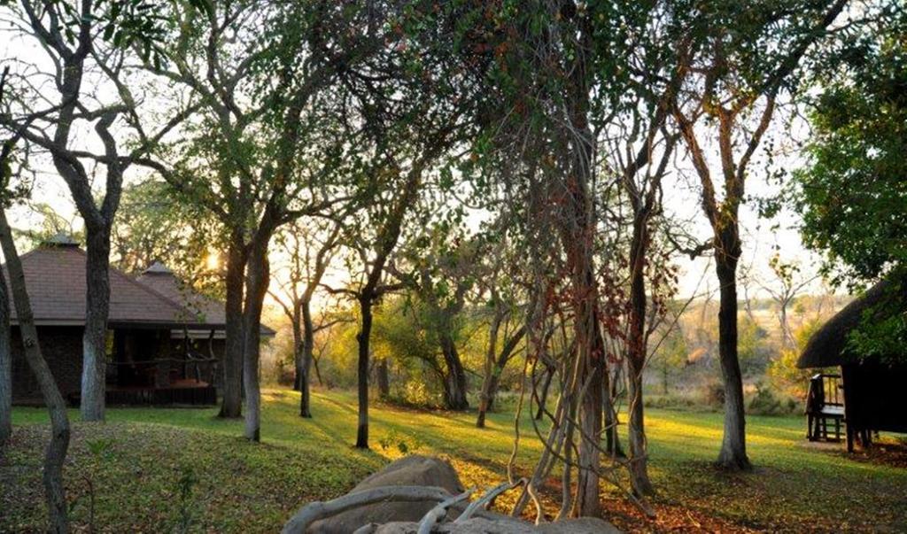 Idube Game Reserve เขตอนุรักษ์พันธุ์สัตว์ป่าซาบีแซนด์ ภายนอก รูปภาพ