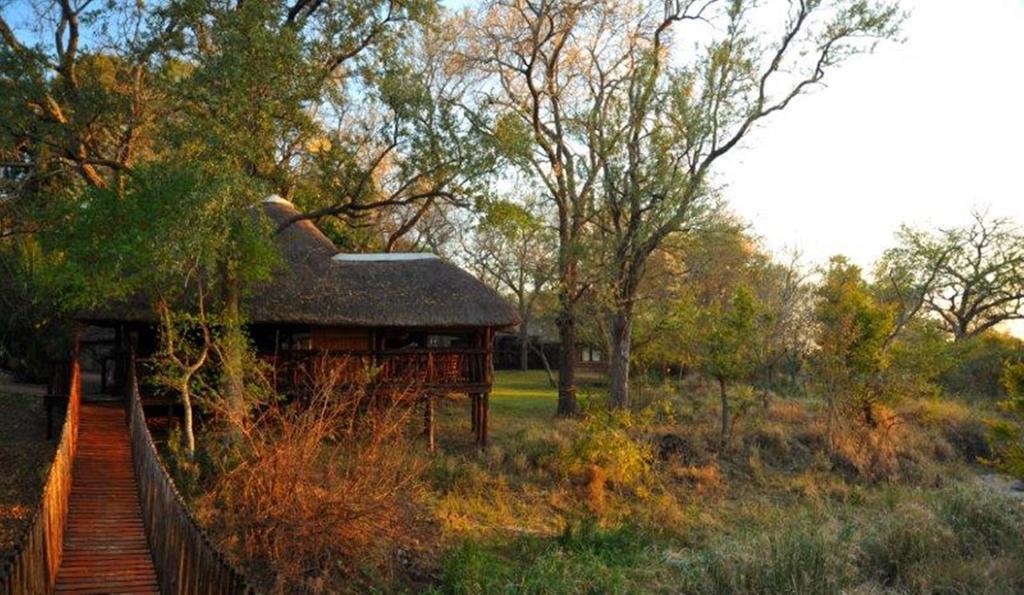 Idube Game Reserve เขตอนุรักษ์พันธุ์สัตว์ป่าซาบีแซนด์ ห้อง รูปภาพ